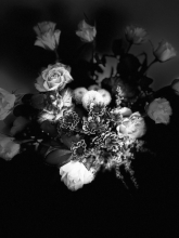IMG-7700_1710420645.jpeg